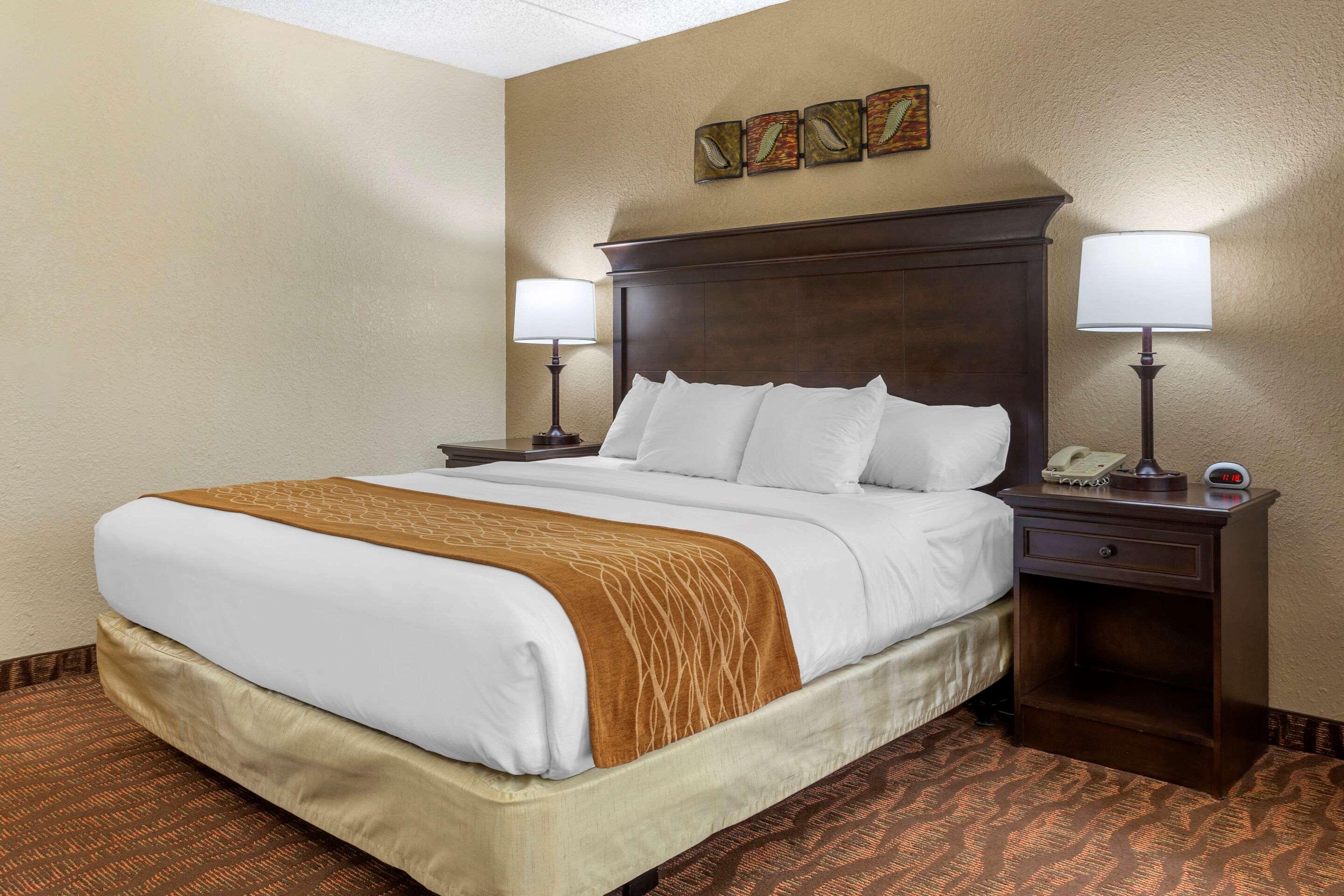 בראנסון Comfort Inn At Thousand Hills מראה חיצוני תמונה